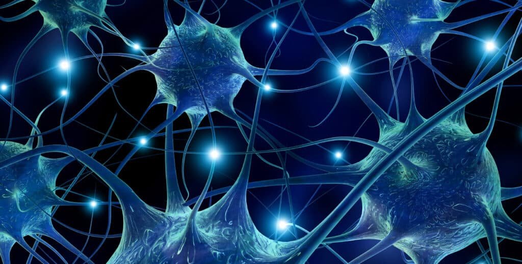 Neuromanagement